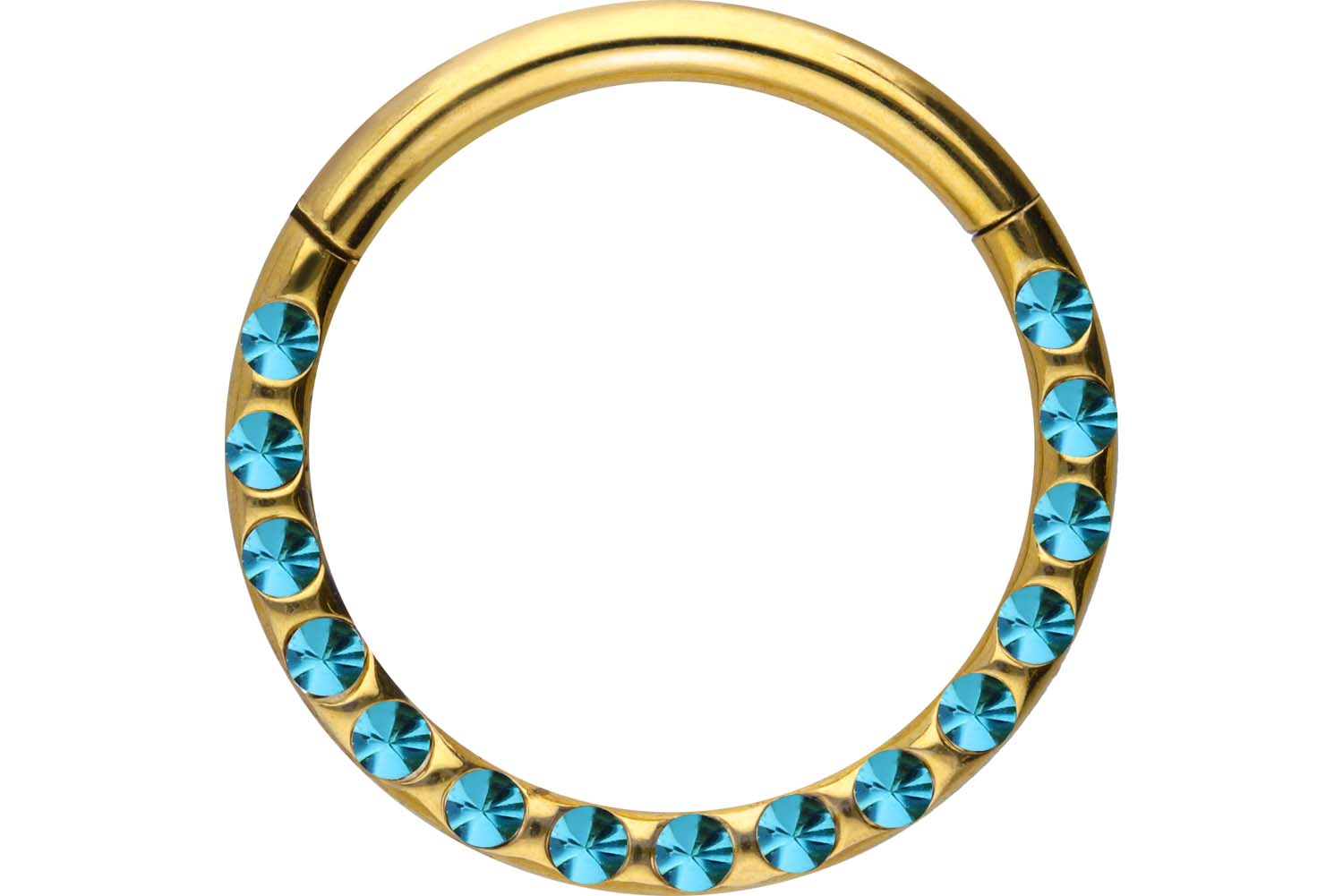 Chirurgenstahl Segmentring Clicker Piercing KRISTALLE + EPOXY ++SALE++